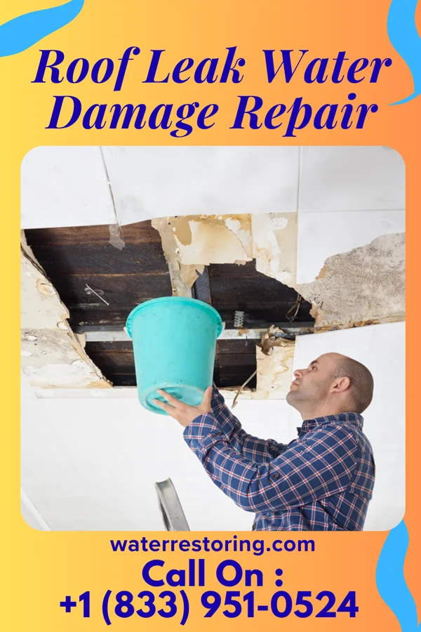 Roof Leak Water Damage Repair in Osseo, WI